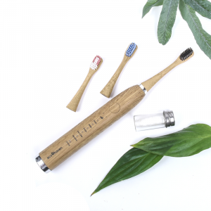 photo of electric bamboo toothbrush, replacement heads for toothbrush, dental floss in a glass bottle with green leaves decorating